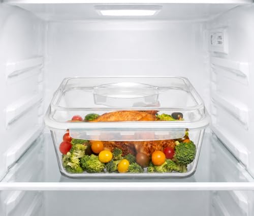 6500 ML / 220 oz / 28 Cup LARGE Glass Food Storage Container with Airtight Locking Lid. Ideal Storing food, Vegetables, Fruits. Baking Casserole, Lasagna, Roasting Turkey, Chicken BPA Free Oven Safe - size: 6500 ml