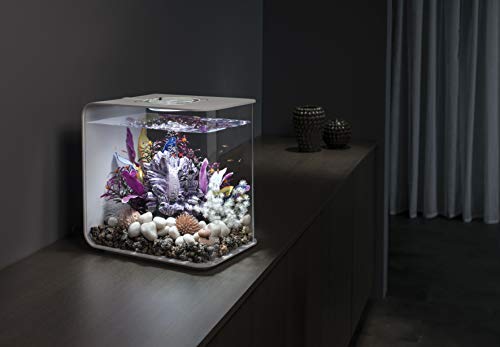biOrb Flow 15 Acrylic 4-Gallon Aquarium with Multi-Color Remote-Controlled LED Lights Modern Compact Tank for Tabletop or Desktop Display, White - color: White with MCR Lighting, size: 4 Gallon