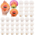 GlikCeil 50 Pcs Sea Shell for Crafting Natural Large Scallop White Oyster Shells Bulk for Decorating DIY Home Decor Beach Wedding Ocean Themed Party(3.9''-4.3'') - size: 3.9''-4.3''
