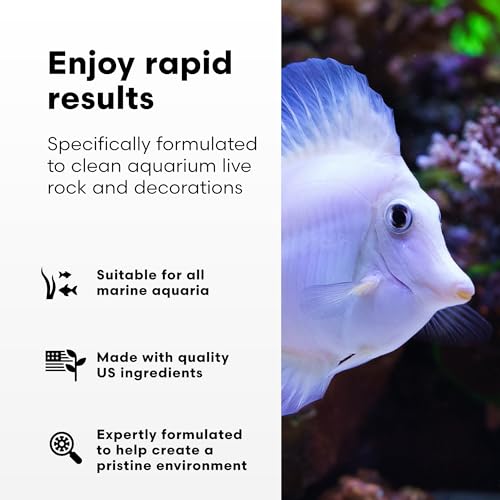 Brightwell Aquatics MicroBacter Clean - Microbial Culture & Enzyme Blend Fish Tank Cleaner - Cleans Live Rock Surfaces for Saltwater Fish Habitats - Aquarium Water Treatments, 33.8 fl oz - size: 1-L