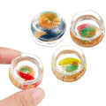 4 Pcs Miniature Dollhouse Accessories, 1: 12 Scale Mini Resin Fish Tank for Garden Scene Decor, Miniature Things for DIY Decorations