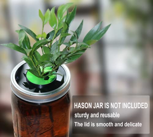 Kratky Lid Wide Mouth Hydroponic Lid Kratky Mason Jar Lid Urban Aquaculture Kratky Lid Insert with Urban Aquaculture Pods Includes 6 Kit (Black Version) (Black 24)