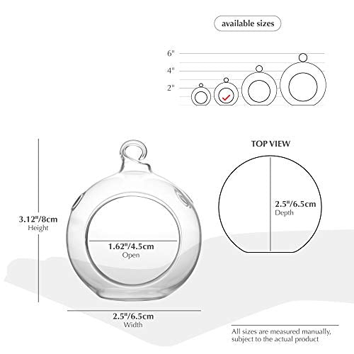 WGV Hanging Terrarium Globe, Width 2.5", Height 3", DIY Air Succulent Planter, Clear Glass Vase Orb with Flat Bottom, Candle Holder for Windowsill Outdoor Garden Decor, 6 Pieces Bulk - size: 2.5" Flat Bottom