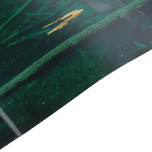 Fish Tank Background Decoration, 3D PVC Self Adhesive Wallpaper Sticker with Lake Reflection Pattern, Aquarium Background for Freshwater and Saltwater Tanks (61 * 41CM) - size: 61*41CM