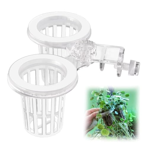 Sturdy Aquarium Plant Holder, Acrylic Adjustable Clear Aquarium Plant Holder Premium Aquarium Planter Cups for Aquarium Aquascape Cultivation Decoration - color: Fixed Type Double Cup