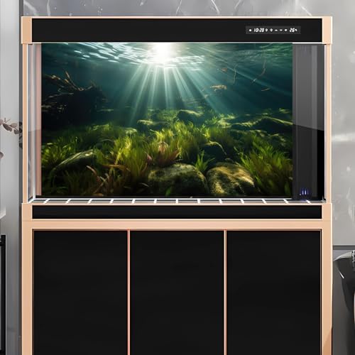Underwater Aquarium Background Under The Sea Aquatic Grass with Sunbeams Terrarium Background Underwater Rocks with Moss Fish Tank Background Tranquil Natural Underwater Seascape Backdrop 24x16in - color: Oecan Dark Green, size: 24(W)x16(H)in