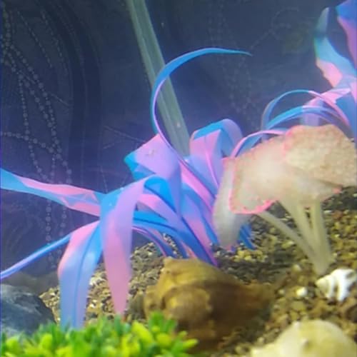 1Pcs Aquarium Decoration Plants Simulation Artificial Water Grass Fish Tank Decor Silicone Glowing Kelp Ornament Fish Tank Plant Aquarium Accessories,Blue,7.08in - color: Blue, size: 7.08in