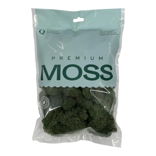 Preserved Reindeer Moss - Moss for Crafts, Home Decor, Art, Design & DIY Projects - Non-Toxic - USA Made (Basil, Medium) - color: Basil, size: Medium