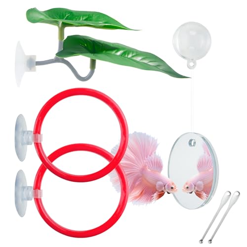 Betta Fish Toy Set: Betta Training Floating Mirror, Training/Feeding Ring, Spoon, and Resting Leaf. Promotes Exercise. Betta Toys, Resting & Feeding Kit(Red) - color: Red