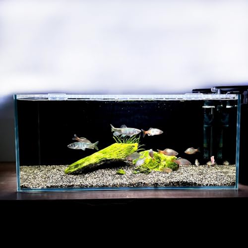 3.5 Gallon Fish Tank 30 * 30 * 15CM- Low Iron Glass Aquarium with Non-Slip Mat, Background Paper & Corner Protectors | Betta, Turtle, Shrimp Habitat Kit | Beginner Friendly Small Aquarium - size: 30*30*15CM