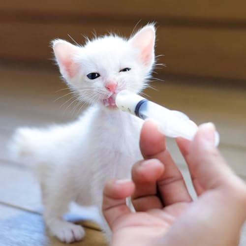 Baby Bird Feeding Syringe Set, Pet Parrot Milk Feeding Syringe with Tubes, Parrot Feeding Tubes Measuring Tools for Feeding Pets Scientific Industrial Labs… (20ml) - color: 20ml