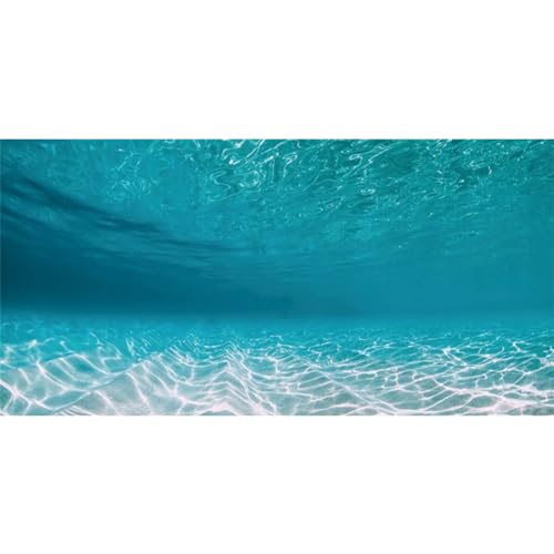 AWERT 60x24 inches Undersea Aquarium Background Pool Ocean Floor Aquarium Background Underwater Fish Tank Background - size: 60x24in/150x60cm