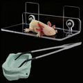 Axolotl Hammock Ledge for Aquarium with Feeding Dish and Feeding Tweezers，Axolotl Hammock with Ceramic Tray Feeder Bowl, Axolotls Accessories for Tank, Bearded Dragon Tank Accessories (7.8x3.9in)