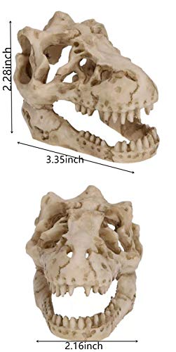 2Pcs Aquarium Decoration - Small Resin Dinosaur Skull Skeleton Fish Tank Cave Pet Reptile House Decoration