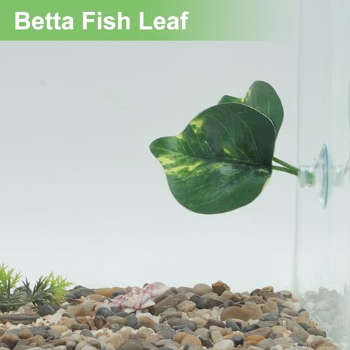 Betta Fish Leaf, Natural Habitat Simulation for Betta Spawnings Grounds, Betta Spawnings Leaves, Resting Bed, Double Leaves, Dark Green