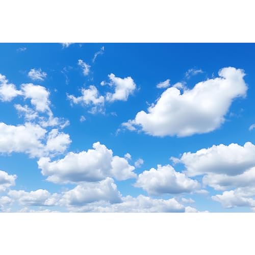 Blue Sky Aquarium Background Tiny Cloudy Cumulus Fish Tank Background White Clouds in Clear Blue Sky Reptile Tank Backgrounds Cloudy Blue Skys Reptile Enclosure Backgrounds Wallpaper Poster 30x18in - color: Blue_White, size: 30(W)x18(H)inches/ 75(W)*45cm(