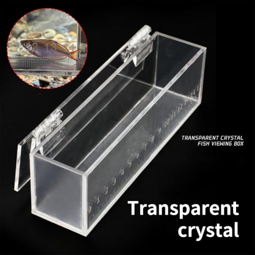 Acrylic Fish Viewing Box Multifunctional Breeding Case for Aquarium and Hatchery with Clear Scale - color: Extra large size XL