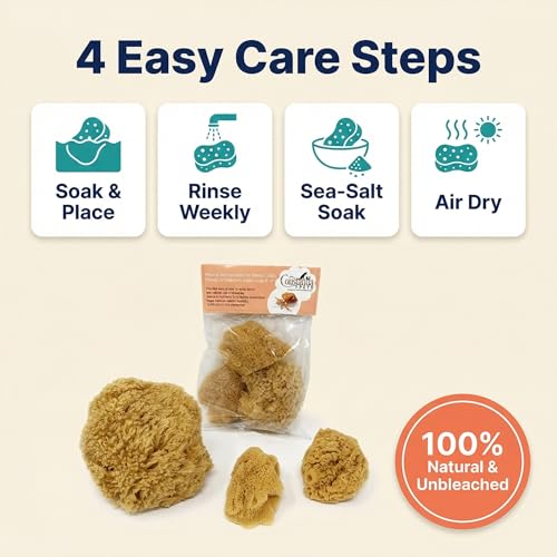 Hermit Crab- All Natural Sea Sponges - 5 Pack Unbleached, Provides Nutrients, Safer Drinking, Helps Maintain Habitat Tank Humidity and Aquarium Decor, Premium Care for Your Crabs