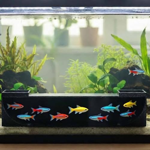 Underground Aquarium Fish Tunnel, Fish and Shrimp Hideout, Shrimp Fish Hide Cave Decoration - style: Square