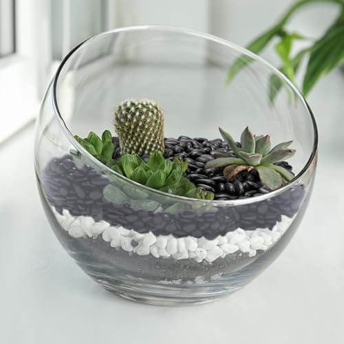 5 lbs Black Pebbles for Indoor Plants, Succulent, Bamboo, Vase, 3/8" Plant Rocks for Pots Indoor, Small River Rocks Decorative Pea Gravel, Highly Polished