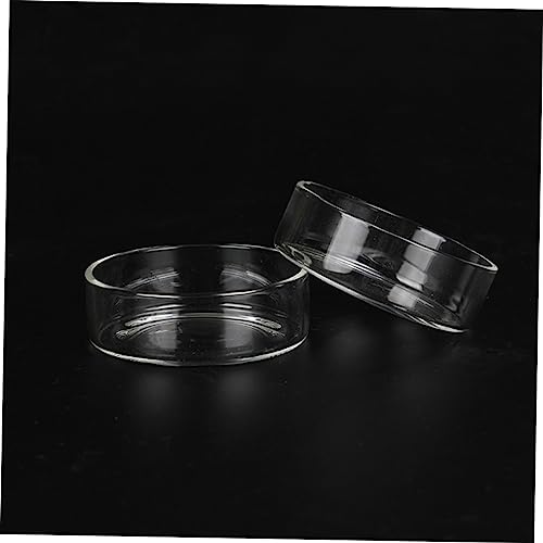 BESPORTBLE 3pcs Crystal Shrimp Feeding Bowl Durable Transparent Glass Shrimp Food Dish for Aquariums for Fish and Reptiles Enhances Tank Aesthetics
