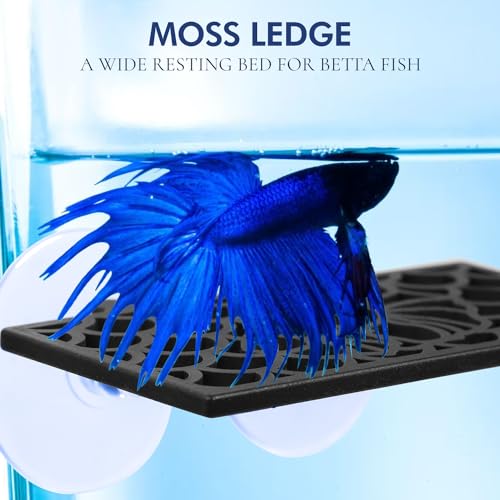 Abizoo Betta Fish Tank Accessories Decorations, Betta Tunnel Swim Tube Black Soft Edged Betta Hammock Bed, Shrimp Guppies Hideout Shelter Toys, Aquarium Moss Ledge - Perfect For Betta Tanks - color: Black