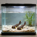 2-Pack Driftwood Aquarium & Terrarium Ornaments – Fish Tank Decor, Reptile Shelters, Aquarium Decor Accents, Miniature Landscape DIY Decorations