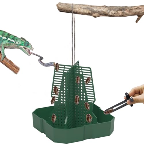 Chameleon Feeder+Bearded Dragon Feeder for Mounted Insect with Rope and Tweezers, Tank and Aquarium Accessories for Lizard, Bearded Dragon, Gecko, Frog（Medium） - size: Medium