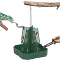 Chameleon Feeder+Bearded Dragon Feeder for Mounted Insect with Rope and Tweezers, Tank and Aquarium Accessories for Lizard, Bearded Dragon, Gecko, Frog（Medium） - size: Medium