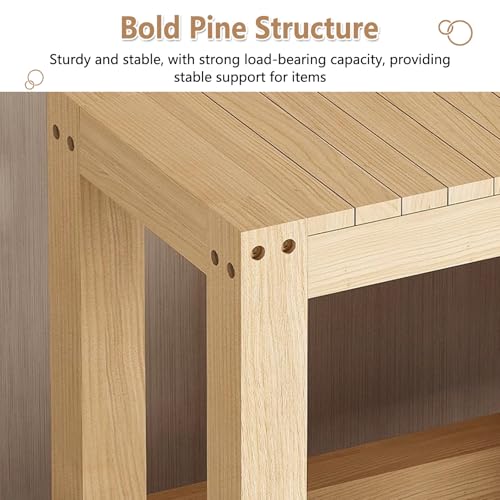 Thickened Solid Pine Wood Aquarium Stand, Multi - Functional Storage Rack with Anti - Slip & Quiet Design, Ideal for Home/Office/Pet Shop(50x45cm/19.7x17.7in) - size: 50x45cm/19.7x17.7in