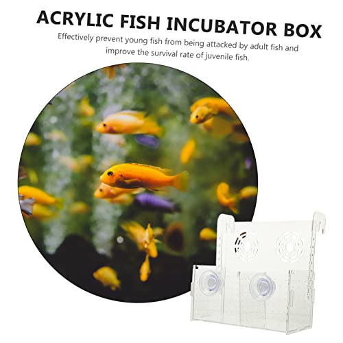 POPETPOP Aquarium Fry Box Acrylic Fish Breeding Box Cups for Isolation and Nursery and Non-deformable Fish Tank Accessory for Improved Survival Rates
