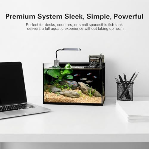 Desktop Glass Fish Tank, 2.8 Gallon Small Betta Fish Tank Starter Kit with LED Light, Efficient Filter and Non-Slip Base, Black Nano Aquarium for Small Space Home Decor ﻿