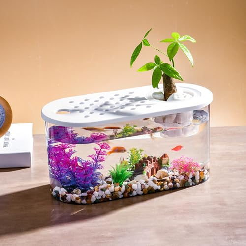 Small Turtle Tank with Basking Platform, Decor Stones and Water Grass, Aquarium Habitat with Plant Holder - color: White