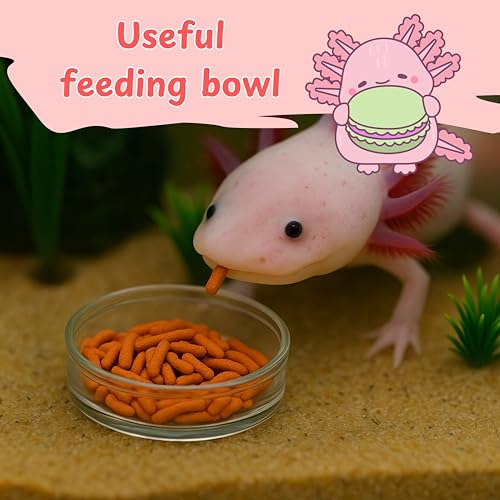 Axolotl Hammock Tank Accessories Aquarium Decor, Axolotl Hammock With Feeding Dish, Aquarium Resting Spot Food Bowl Feeder, Mesh Reptile Hammocks Lounger Ladder, Bearded Dragon Accessories (Black, S) - color: Black