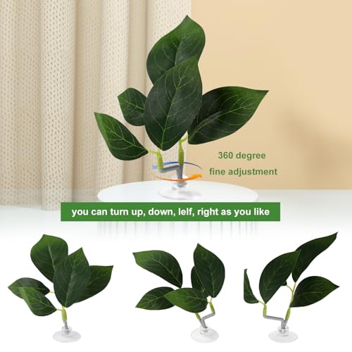 Lyreh 4pcs Betta Leaf Hammocks, 4 Styles Suction Cup Fish Tank Decor Leaves Fish Tank Plant Decor Accessories for Simulating Natural Habitats(Green)