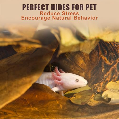 Indian Almond Leaves for Betta Fish,20Pcs Catappa,60Pcs Longan & 0.7oz Oak Leaves,Aquarium Water Conditioner Leaf,pH Balancing Water Conditioner Leaf for Betta Fish,Shrimp,Frogs,Axolotl Tanks