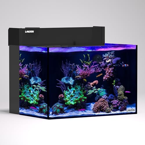 LANDEN EasyCube EC60K AIO Marine Aquarium Kit,26.25 Gallon Rimless Saltwater Reef Tank with Integrated Back Filter, Protein Skimmer Return Pump Filter Sock ATO Reservoir–Opti-White Glass Reef System - size: 60 cm