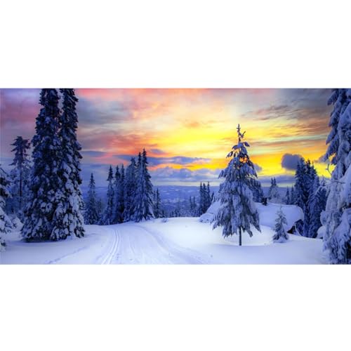 YongFoto Fish Tank Background - 24x16 inch Winter Snow Scene Aquarium Backdrop for Reptile Terrarium & Bearded Dragon Habitat - color: Purple 2, size: 24x16in/60x40cm