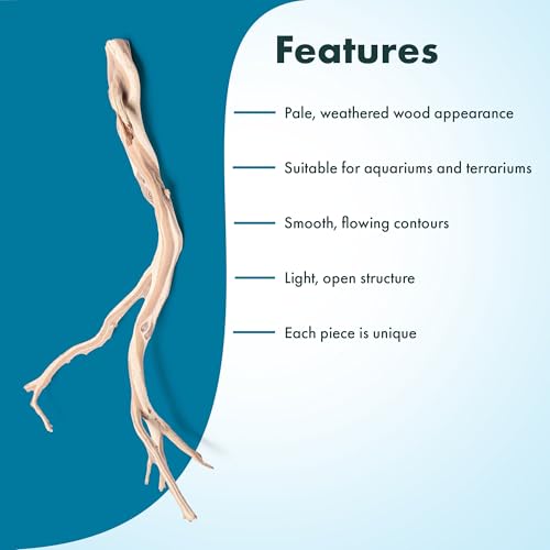 SubstrateSource Natural Aquarium Driftwood for Fish Tanks, Terrarium, Reptile Habitats, Freshwater Aquatic Decor - Small to Large Pieces (Ghost Wood (Large) 18-26", 1 Piece) - size: 1 Piece