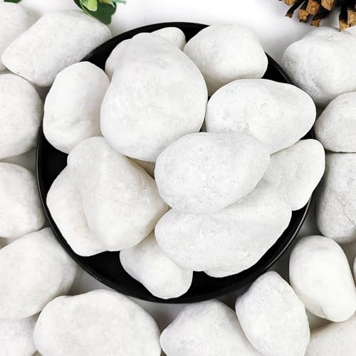 YISZM 10lb White River Rocks, 2-3 Inch Natural Pebbles for Indoor Plants, Snow White Decorative Stones, Ideal for Fish Tank, Vases, Crafting, Home Decor and Garden Landscaping Rocks - size: 10 Pounds, style: 2-3 Inch
