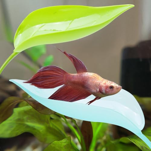 MiOYOOW 3PCS Betta Leaf Hammocks, Suction Cups Leaf Decorations for Terrarium, Reptile, Small Fish Sleeping Resting Hiding Playing Breeding