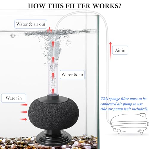 HITOP Diameter 4in Aquarium Bio Sponge Filter: 5-40gallon Air-Powered Fish Tank Filter, Quiet Filter for Aquarium/Betta Tank/Shrimp Tank/Fry Tank - style: Large 4in-1pack