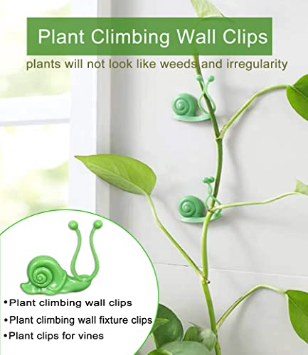 50PCS Plant Wall Clips: Vine Climbing Self-Adhesive Invisible Fixing Hook for Wall & Garden Decoration - size: snail