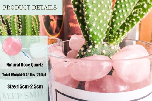 DUQGUHO Rose Quartz Healing Crystals Stones Set Natural Bulk Crystals Tumbled Polished Irregular Crystal Stones Bulk Rocks 0.45 lbs - color: 02 Rose Quartz