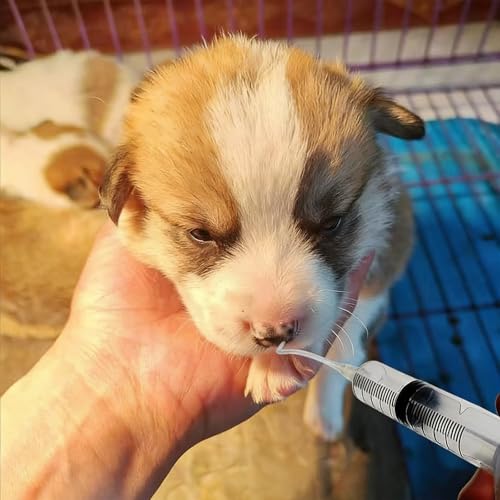 Baby Bird Feeding Syringe Set, Pet Parrot Milk Feeding Syringe with Tubes, Parrot Feeding Tubes Measuring Tools for Feeding Pets Scientific Industrial Labs… (10ml +10ml +12ml White) - color: 10ml +10ml +12ml White