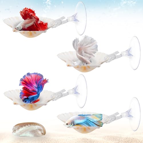 5 Pcs Betta Fish Bed Shell Hammock Betta Resting Spot with Suction Cups Natural Shell Hideouts & Spawning Grounds for Betta, Shrimp, Cichlid, Small Fish Tank Decorations