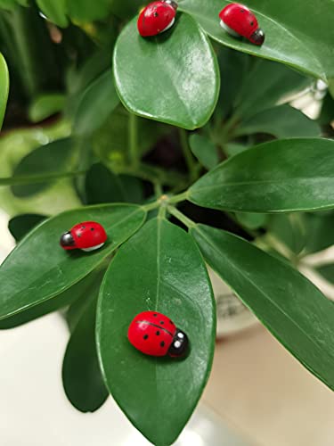 Fairy Garden Accessories Miniatures Sculptures Statues,Yard Decor for Outside Gnomes Outdoor Decor for Patio Zen - size: Lady bug
