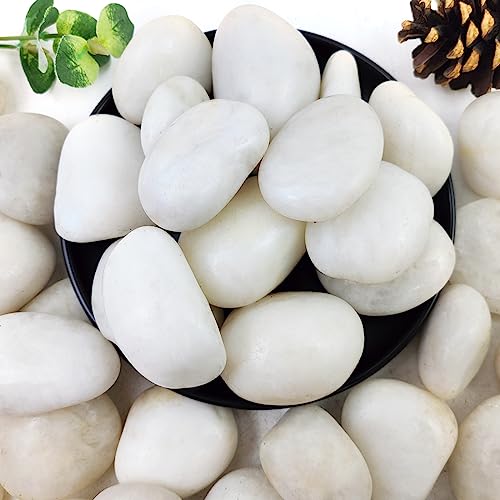 YISZM 5lbs White River Rocks, 2-3 Inch Natural Pebbles for Indoor Plants, High Polished Decorative Stones Vase Filler Fish Tank Aquariums Landscaping Garden Outdoor and Indoor DIY - color: White, size: 5 Pounds
