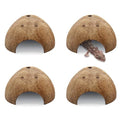 4 PCS Natural Coconut Reptile Hideouts Lizard Coco Hut Hermit Crab Hut Aquarium Fish Hide Cave Spider Snail Climber Toys - size: 4 PCS Smooth Surface