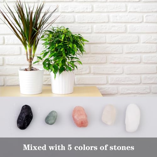 5lb Pea Silica Gravel Decorative Rocks, Polished Pebbles Ideal for Fish Tank, Vases, Succulents, Home Decor and Garden Landscaping, Countryside - color: Countryside, size: 5LB